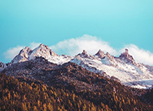 开云体育官方-四大洲赛“葱桶组合”短节目第一 韩聪透露隋文静带伤出战